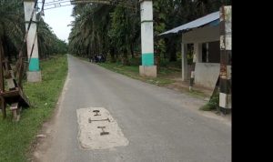Jalan Rusak Di Desa Perkebunan Pulahan Kecamatan Air Batu