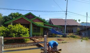BPBD Provinsi Bengkulu Sebut 1.570 Rumah Terdampak banjir Akibat Hujan Intensitas Tinggi