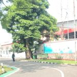 Kantor Pertamina Patra Niaga Sumut di Kawasan Putri Hijau Medan